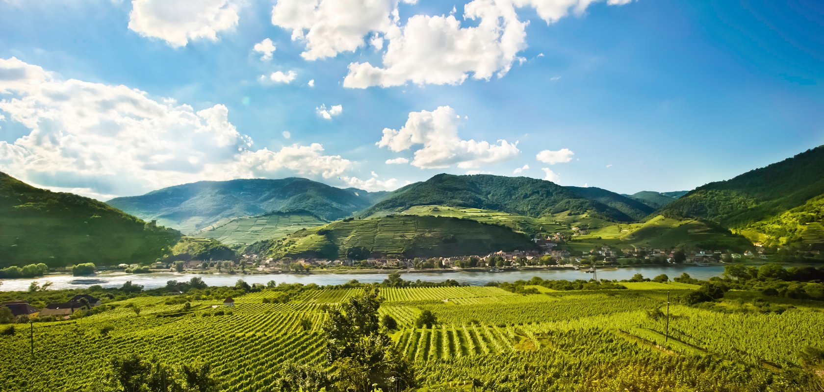 Donau NÖ - Header Weinstraße Wachau