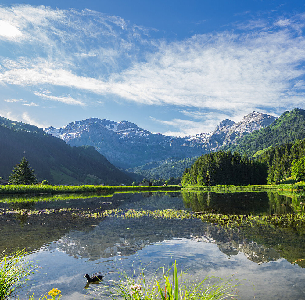 Lenk-Simmental Tourismus - Webdesign & -development (TYPO3)