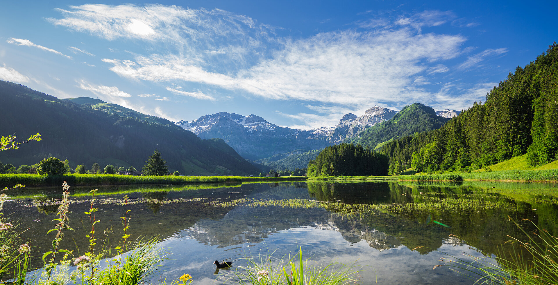 Lenk-Simmental Tourismus - Webdesign & -development (TYPO3)