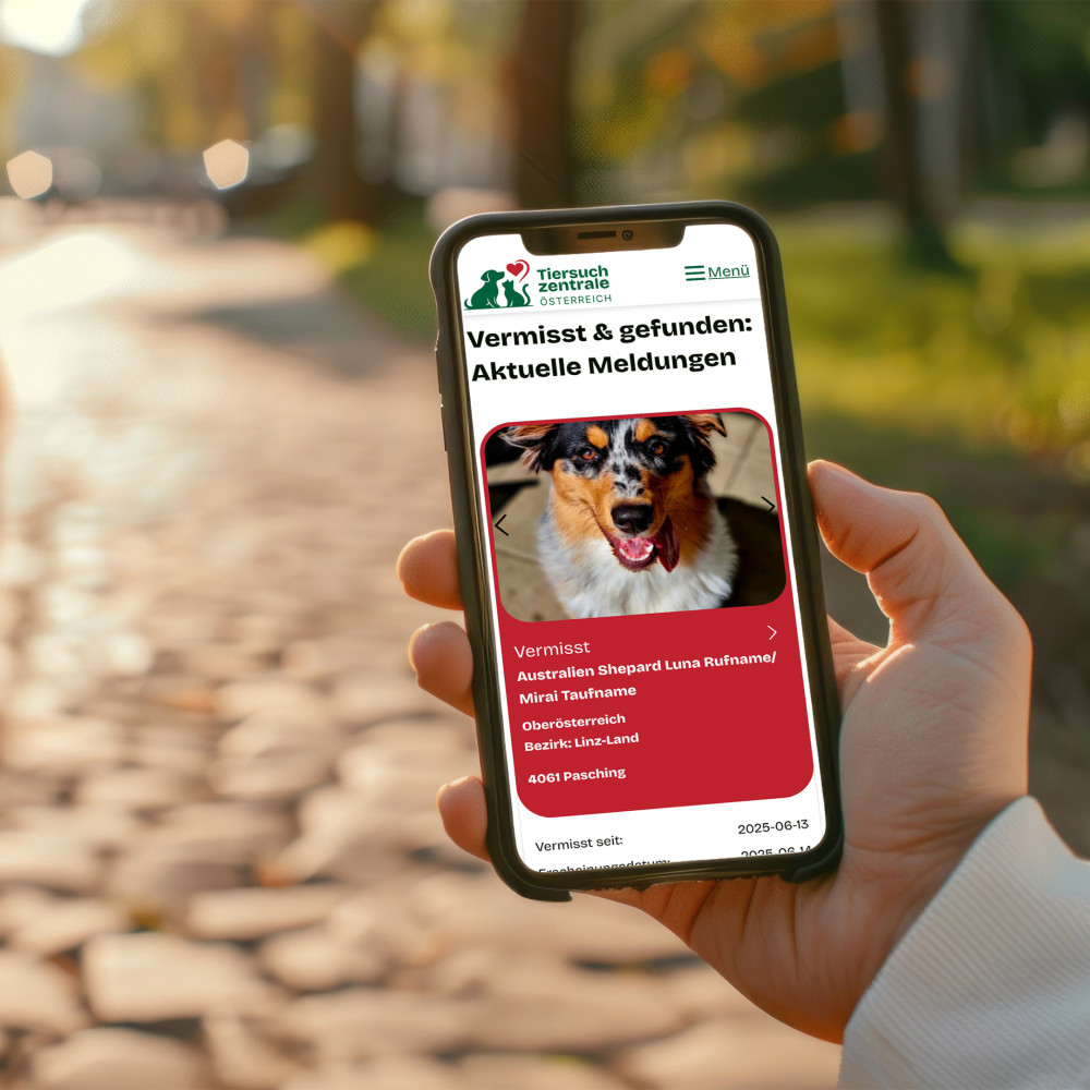 Tiersuchzentrale - Webdesign & -development (WordPress)