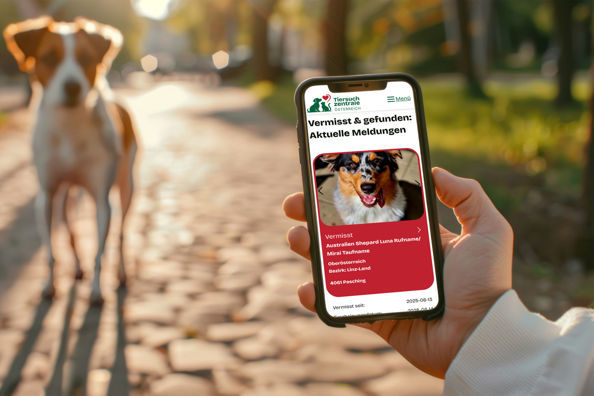 Tiersuchzentrale - Webdesign & -development (WordPress)